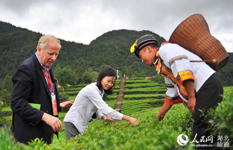 ʩɽƬƬ裬ƾɶڡһһ·£