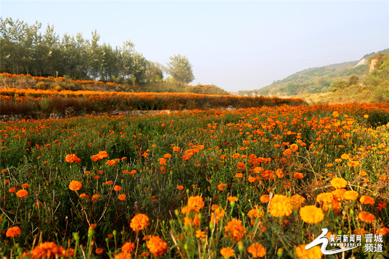 ɽ괨ǧĶپӭժ ҩĲҵƶ