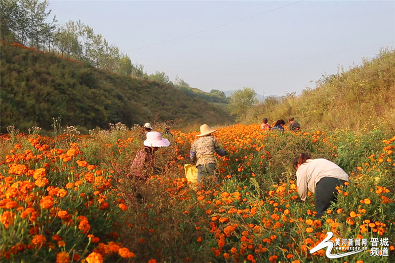 ɽ괨ǧĶپӭժ ҩĲҵƶ