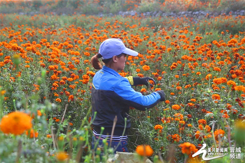 ɽ괨ǧĶپӭժ ҩĲҵƶ