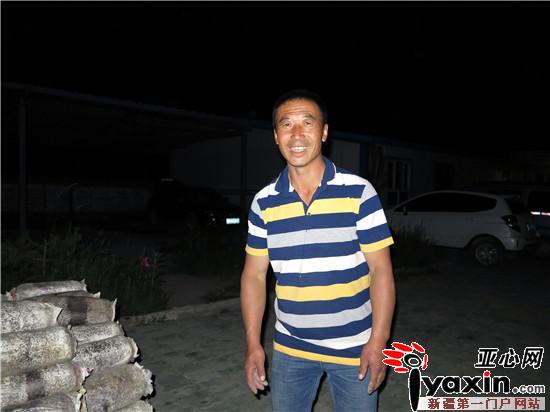 新疆吉木萨尔县:林下食用菌经济 农民致富“新引擎”