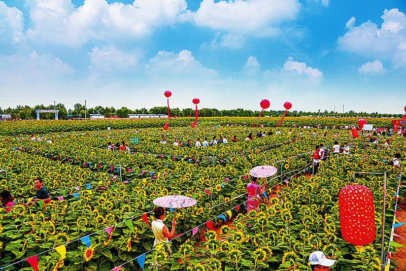 ľƽũҵṹԸĸ ʵֻ䡱