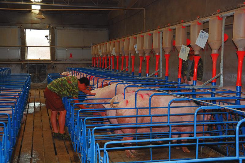 ľƽũҵṹԸĸ ʵֻ䡱