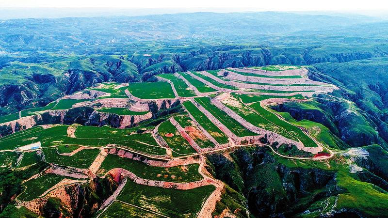 ľƽũҵṹԸĸ ʵֻ䡱