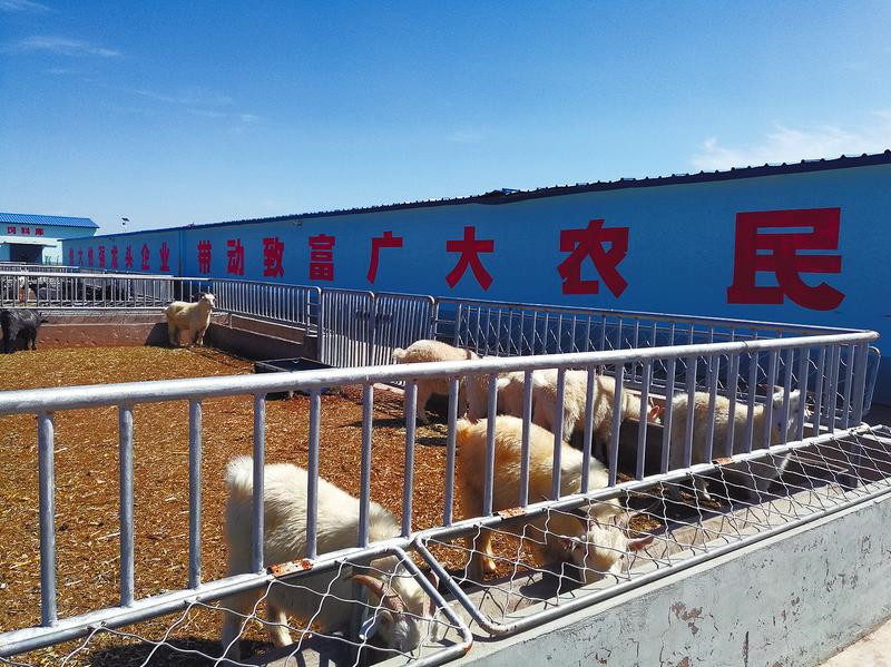 ľƽũҵṹԸĸ ʵֻ䡱