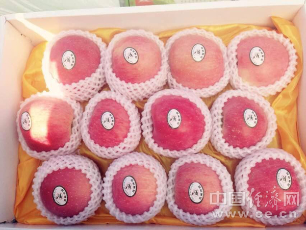 宁夏中卫:沙坡头好 富硒苹果更好!