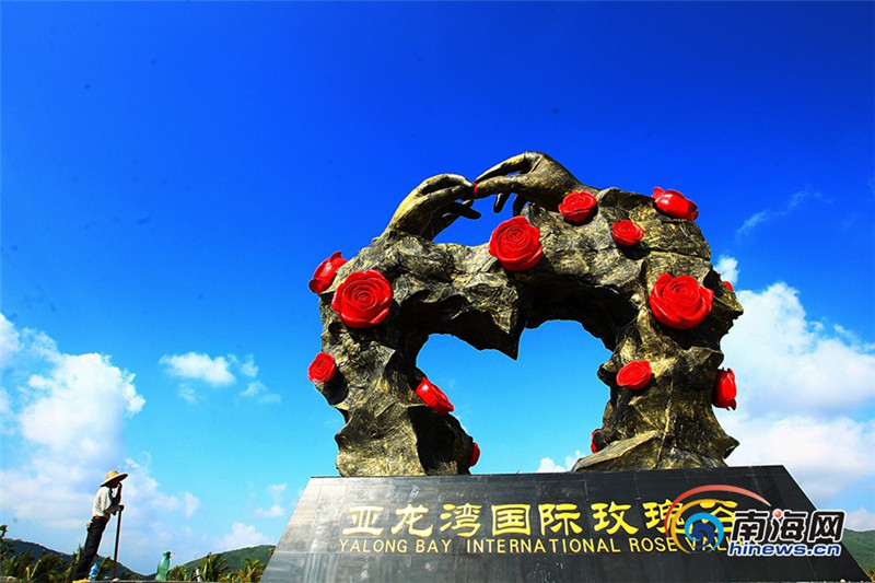 回访习近平视察海南——三亚玫瑰谷:盐碱地开出玫瑰花