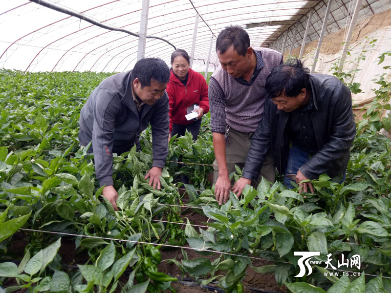 ½ŵڶʦʮְֲ߲˴ʵ¸