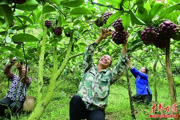 ũƷǰ8³45.4 ͬ11.2%