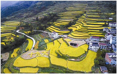 㽭̨׷ ˮɽϰյԽԽ