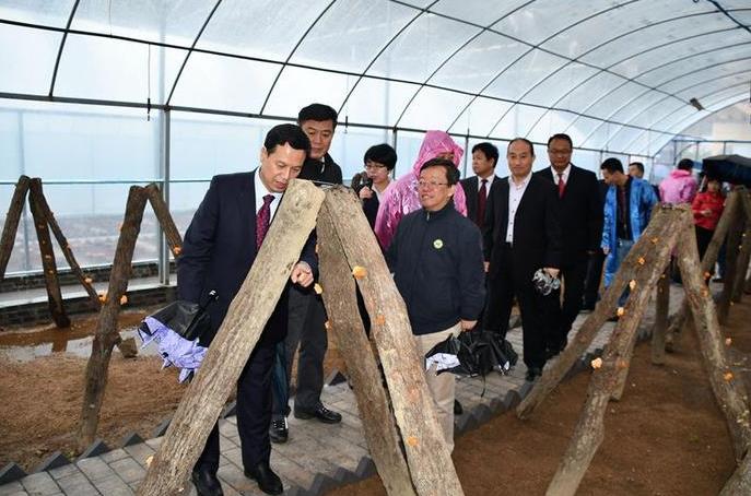 ׽ˮľĻִũҵ԰¡ؿĻ