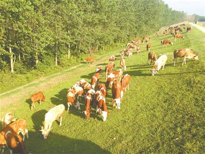 ӿɫҵչƽũҵĸ ũƷȫ