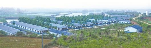 ӿɫҵչƽũҵĸ ũƷȫ