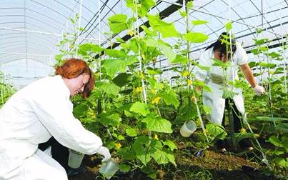 㽭ȫʡȳ̨ũҵƷжƻ