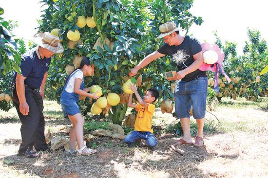 ɫ̬·¸ Ϸɫ̬ũҵС