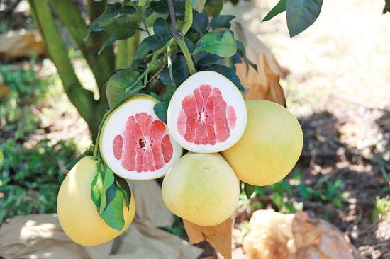 ɫ̬·¸ Ϸɫ̬ũҵС