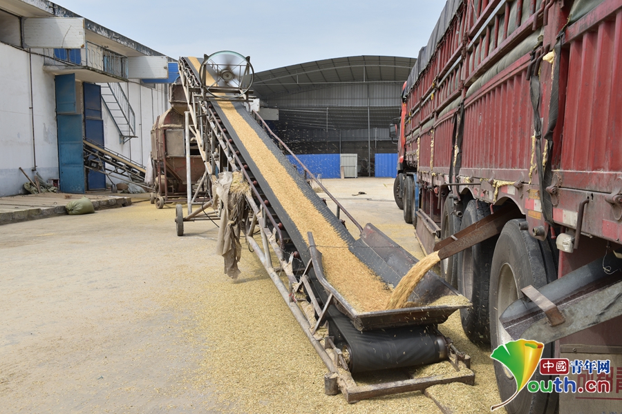 Ĵ񣺹ҵũ ̽ʳִģʽ