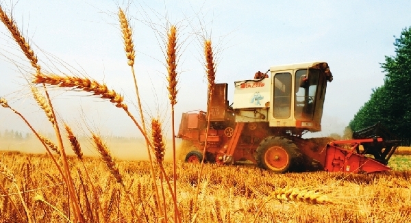 ʮ˴ ɽʳܲʷԿԽ23.6%