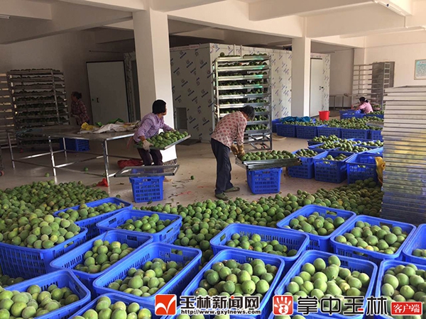 玉林市两产业示范区获“广西现代特色农业示范区”