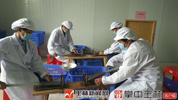 玉林市两产业示范区获“广西现代特色农业示范区”