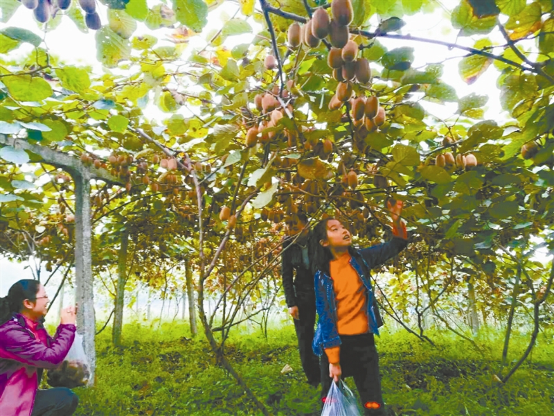 ǭ̻磺⨺ҡҵũ¸ϣ