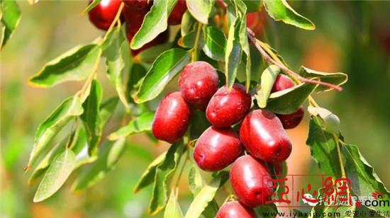 ɫֹҵչ̾½пѷũ¸·