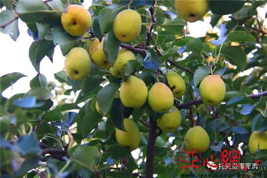 ɫֹҵչ̾½пѷũ¸·