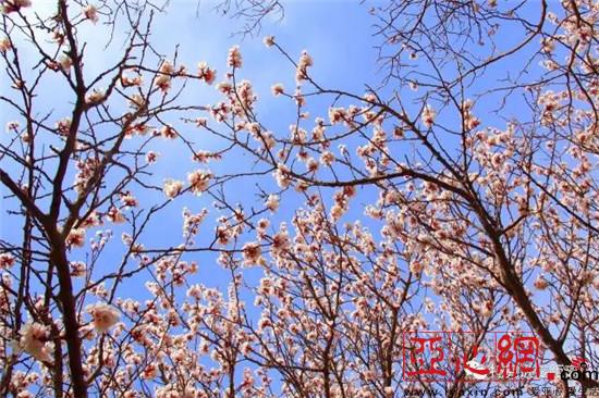 ɫֹҵչ̾½пѷũ¸·