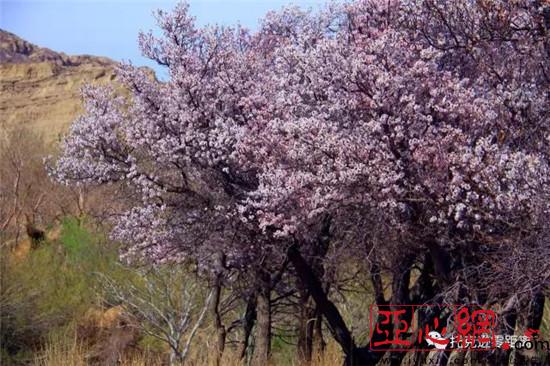 ɫֹҵչ̾½пѷũ¸·