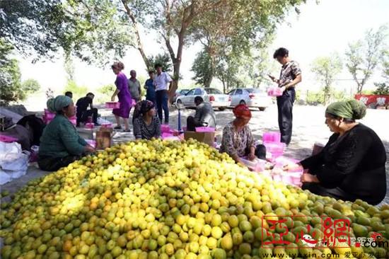 ɫֹҵչ̾½пѷũ¸·