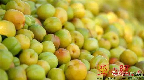 ɫֹҵչ̾½пѷũ¸·