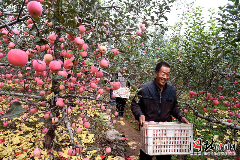 ӱ̨ʵʩƷƻս ˮƻ ũ