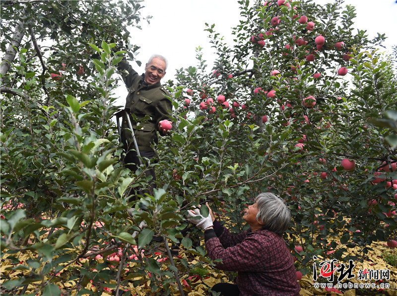 ӱ̨ʵʩƷƻս ˮƻ ũ