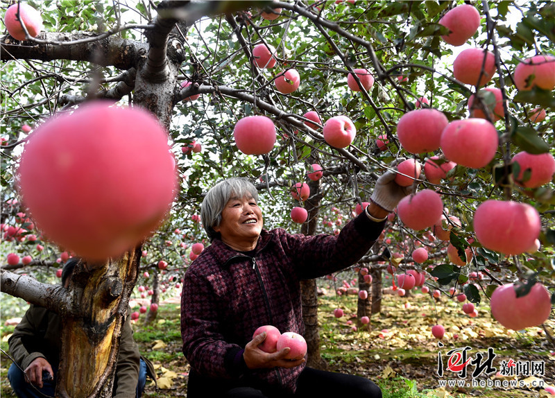 ӱ̨ʵʩƷƻս ˮƻ ũ