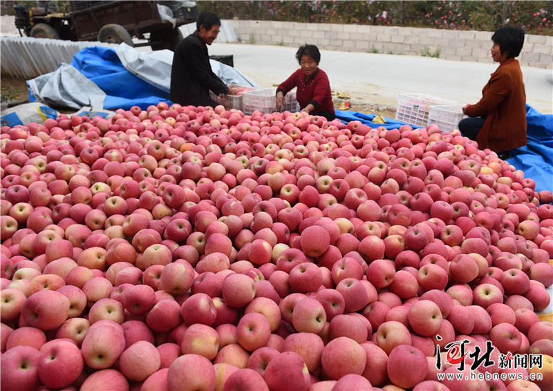 ӱ̨ʵʩƷƻս ˮƻ ũ