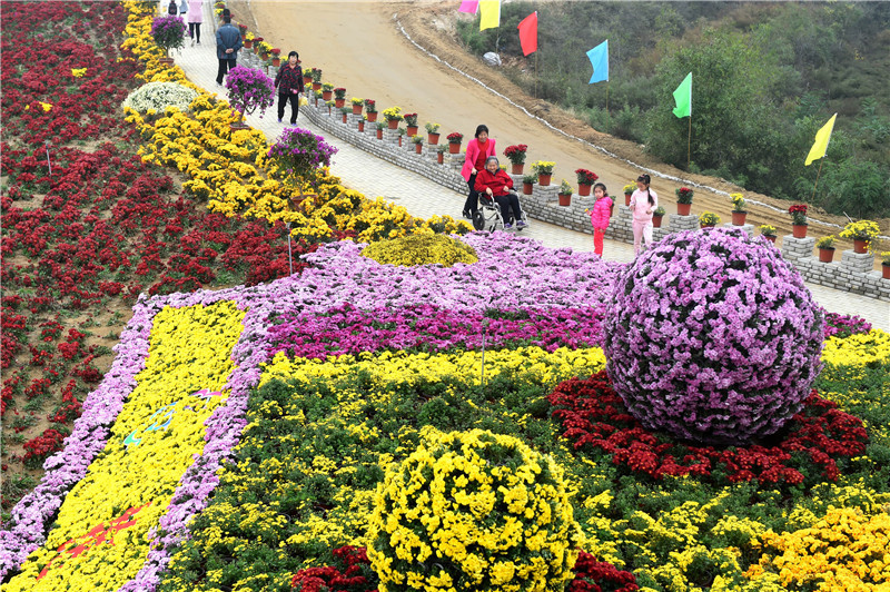 河北邢台:“美丽产业”富农家