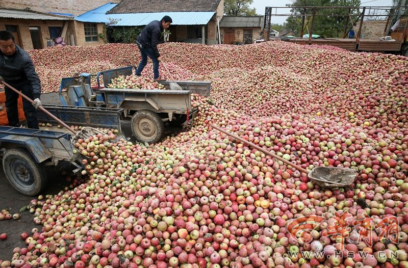 Ȫأعڣƻռ۸ȴ̫ ʱÿëǮ