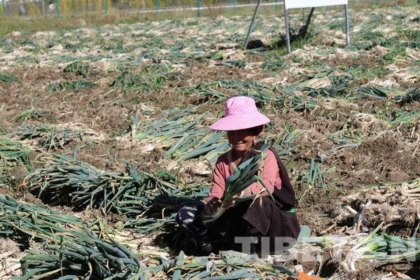 Ĵڣǿҵ־Ʒ зƶЦg