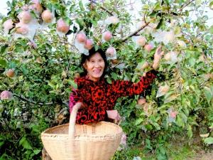 河南湖滨区高庙乡:发展特色农业 助农脱贫致富