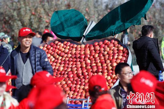 新疆阿克苏首批“冰糖心”苹果专列发往浙江