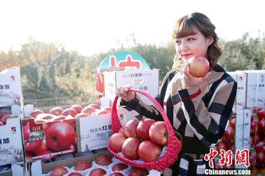 新疆阿克苏首批“冰糖心”苹果专列发往浙江