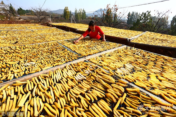 ɽׯعϳũƶ¸ġϹϡ