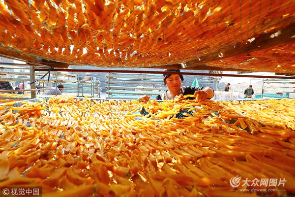 ɽׯعϳũƶ¸ġϹϡ