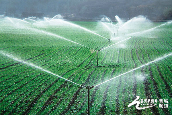 ɽ˳ǣƽ֦ͷ˶˶ ɫϲ