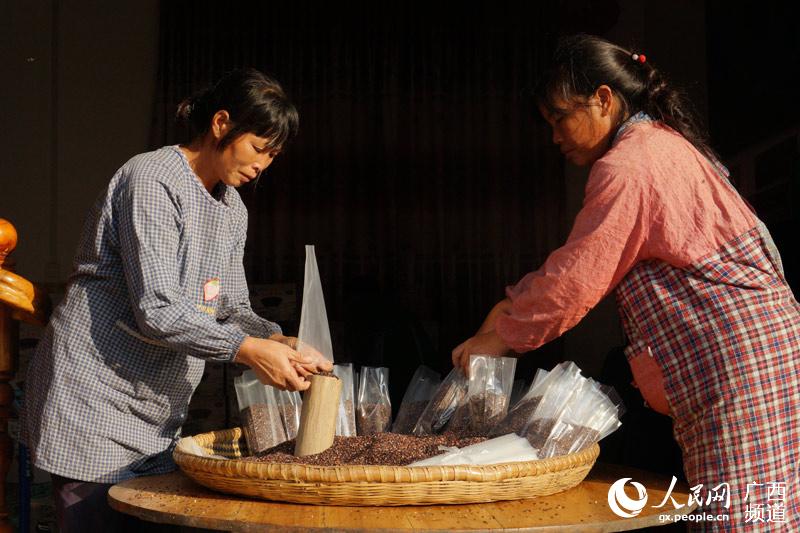 广西融水环九万大山特色产业助农增收致富