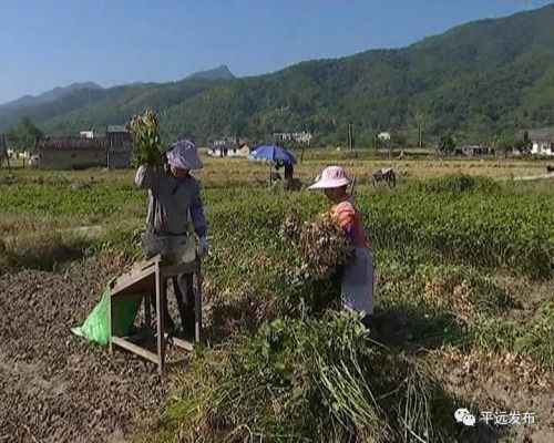 㶫ƽԶ8000Ķﻨգֵɴ3300Ԫ