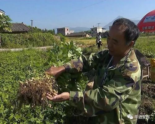 㶫ƽԶ8000Ķﻨգֵɴ3300Ԫ