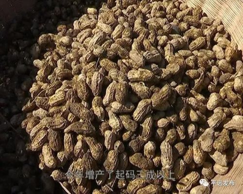 㶫ƽԶ8000Ķﻨգֵɴ3300Ԫ