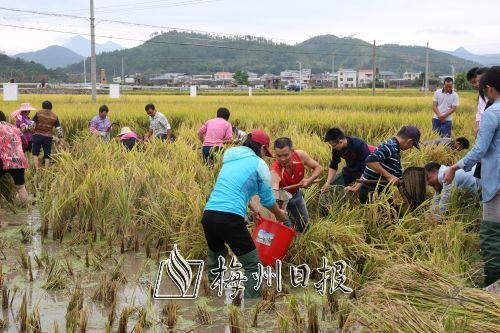 㶫ƽԶʯ㵾̬ģʽɹ