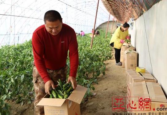 ½ŵʦһž׼ƶֲطæ